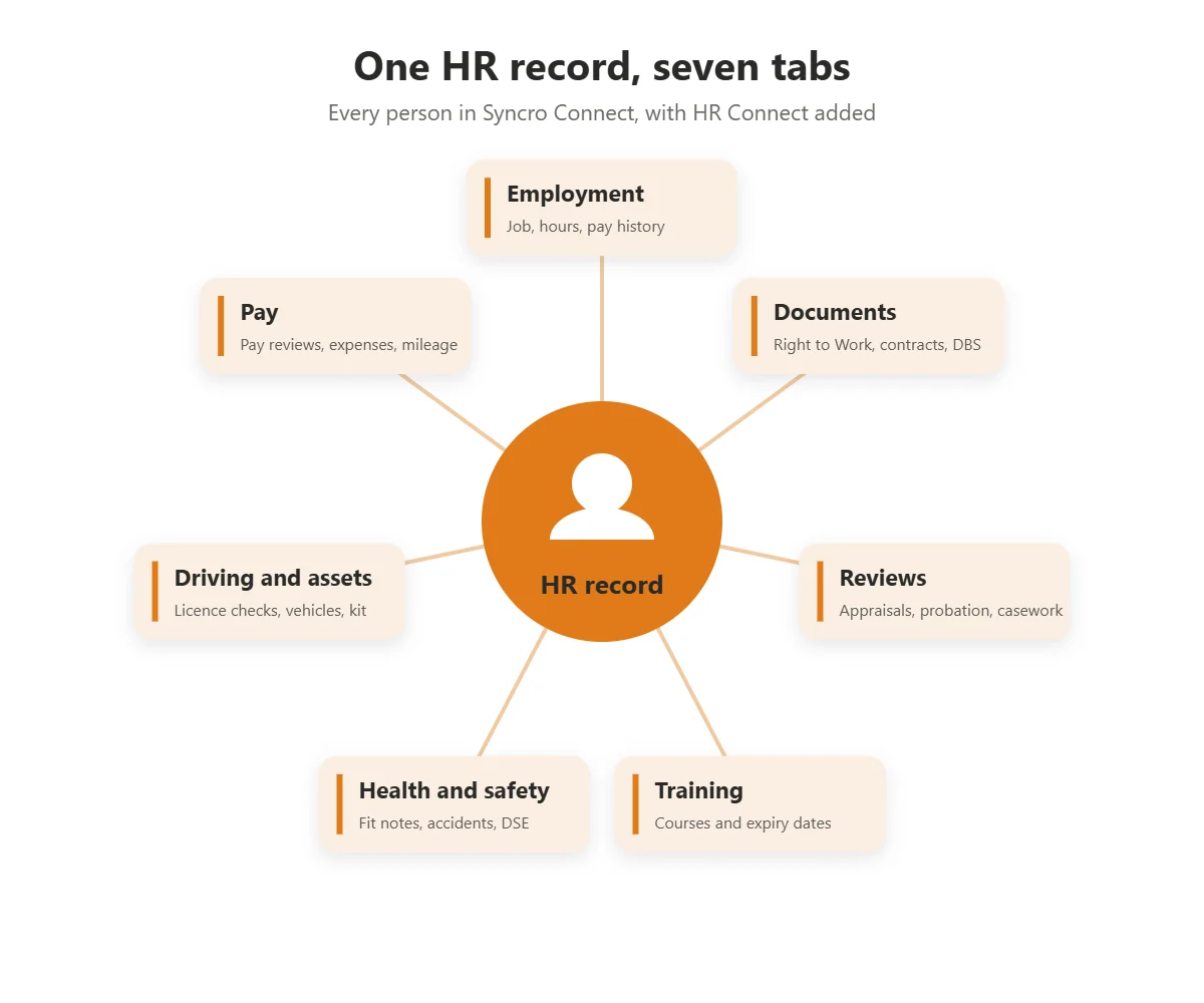 Diagram of the HR Connect employee record and its seven tabs: employment, documents, reviews, training, health and safety, driving and assets, and pay